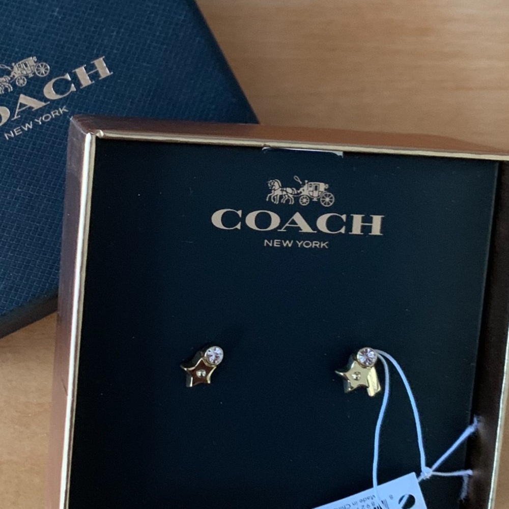 Coach Star and Stone earrings